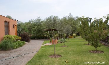 Casa_pachacamac_jardines